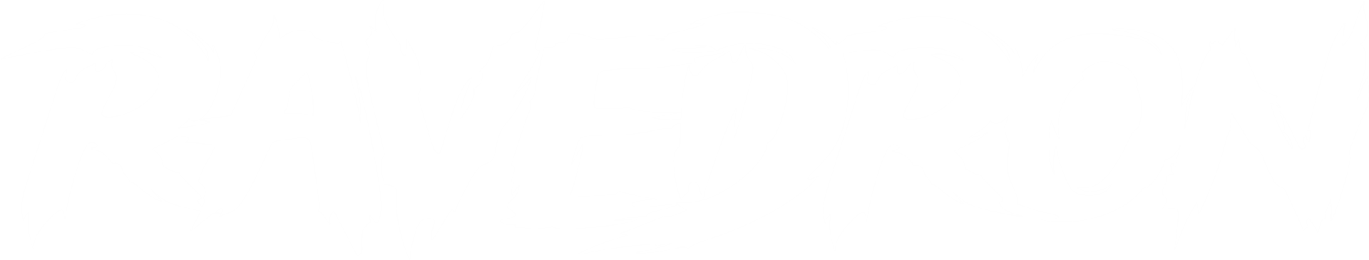 RAVEDRON - Oficjalne Logo Kolektywu